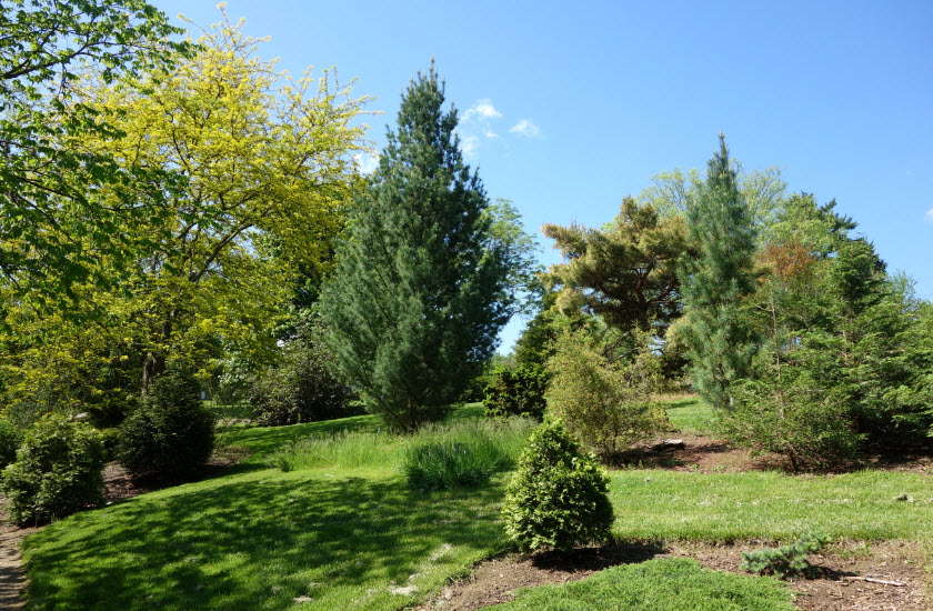 Stanley M. Rowe Arboretum, United States